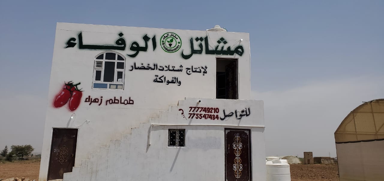 الفرع الرئيسي